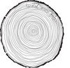 TREE RINGS - STICKER-Twisted Arrow Goods